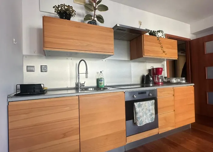 Private - Free Parking - Netflix Apartament *